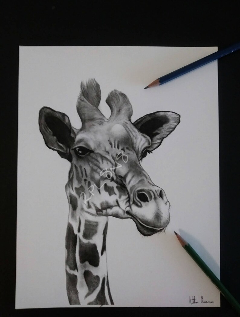 Impresión de dibujo de lápiz de jirafa | Etsy