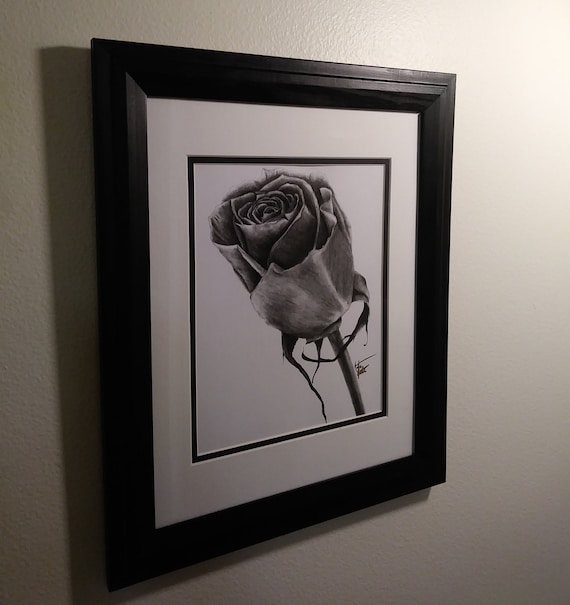 Rose Drawing Signed Limited Edition Print