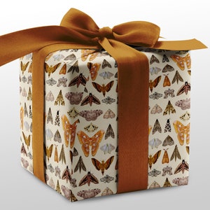 Carta da regalo con falene lepidotteri per tutte le occasioni, carta da regalo verde accademia, fogli di carta da regalo per compleanni da strega, entomologia