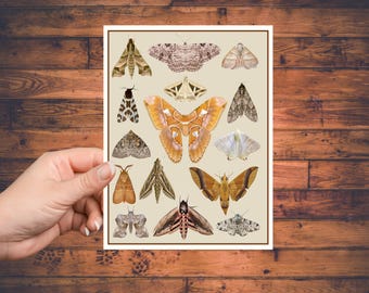Moth notecard set, witchy stationary, nature lover gift, vintage inspired insect handmade greeting cards, thank you notecards