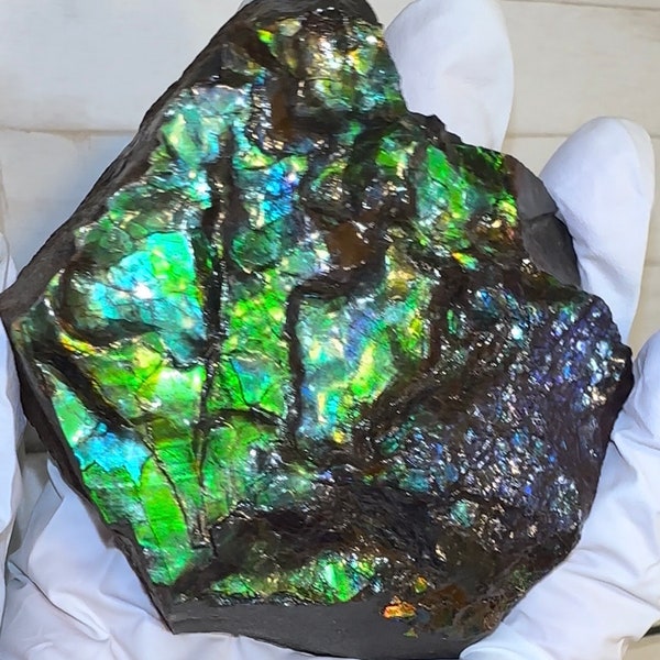 Ammolite 3,54 po., Lumineux, Suture, Spécimen de main, Pierres précieuses, Fengshui, Métaphysique, Pièce de chambre, Décoration de maison, Pierre de buffle, Pierre de palmier