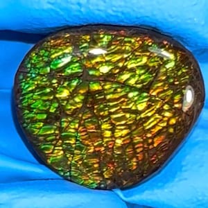 Loose Stone, Ammolite,Freeform, Cabochon 21x18mm,  Loose gemstone Canadian Ammonite,wrapping jewellery,