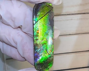Ammolite Imperial Double-Sided NATURAL Polished  Freeform  Stone  Collector&#39;s Gemstone 48x15mm, Polished/Coated