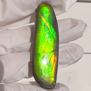 Loose Stone, Ammolite,Freeform, Cabochon 56x17mm, Loose gemstone Canadian Ammonite,wrapping jewellery, image 7