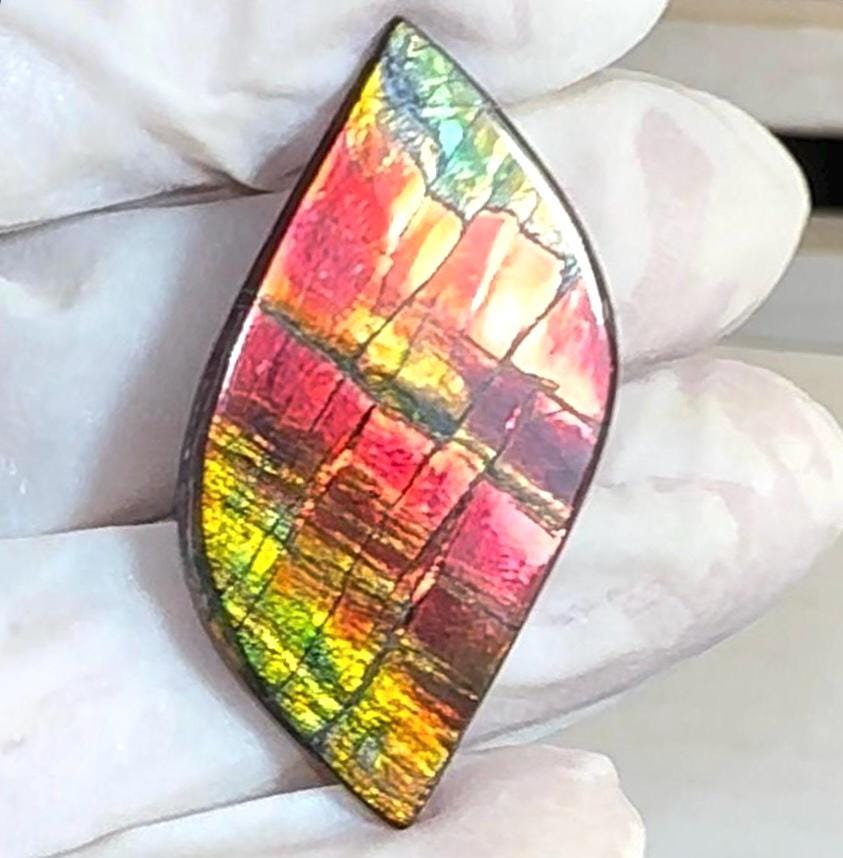 Rare Imperial Rainbow Colors, Ammolite Imperial Double-Side NATURAL Polished  Freeform  Stone  Collector Gemstone 24x18mm,High grade