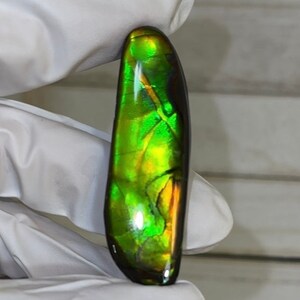 Loose Stone, Ammolite,Freeform, Cabochon 56x17mm, Loose gemstone Canadian Ammonite,wrapping jewellery, image 2