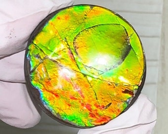 Ammolite, NATURAL Hand POLISHED, Loose stone 37.5x35mm Loose Gemstones,gemstone.