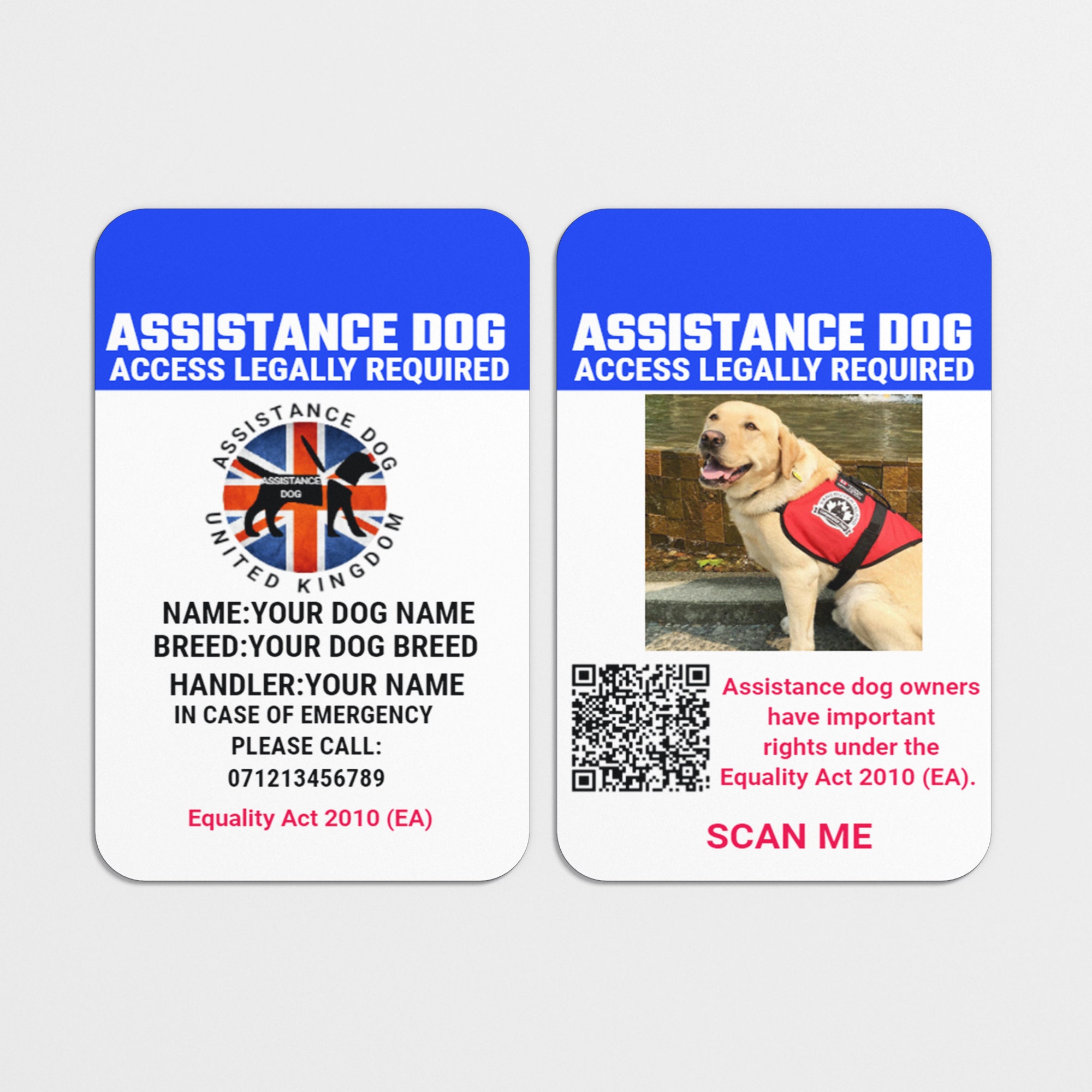 How To Legally Make Your Dog A Service Dog