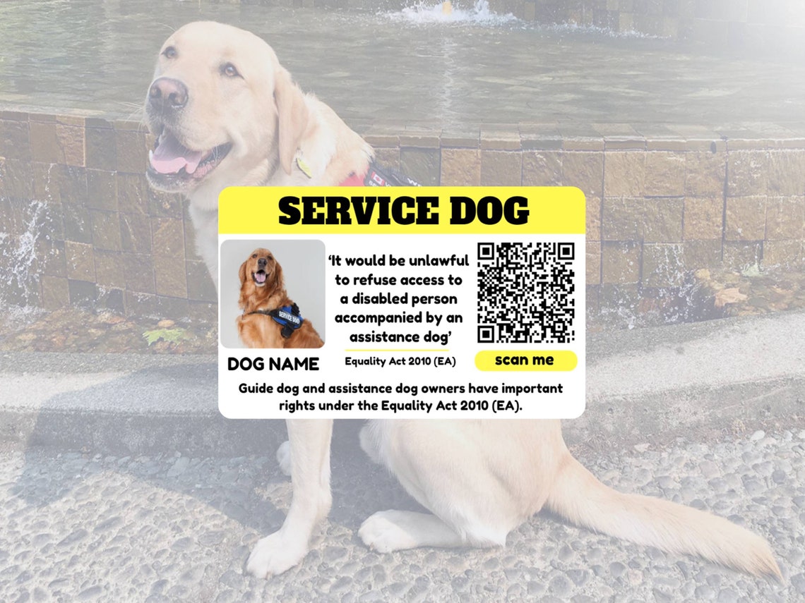 Assistance Dog UK Law Card with Equality & Human Rights Etsy