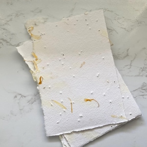 Carta seminata A6 con fiori - 250 gsm - Carta fatta a mano - Carta artigianale - Cancelleria SEEDS PAPERS carta seminata