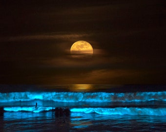 Bioluminescent Full Moon Surf