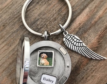 Custom Pet Memorial Keychain: Hair Keepsake, Fur Locket with Portrait Charms