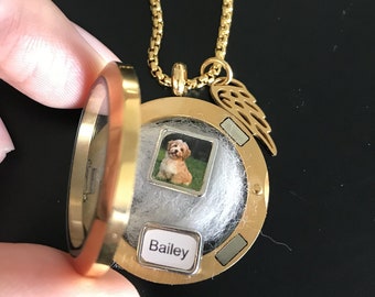 Gouden Huisdier Hond verlies Ketting, Verlies van Hond, Slot van Bont Haar Ketting, Drijvende Medaillon Bont Hond Aandenken, Memorial Jewelry, Huisdier herdenkingscadeau