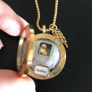 Gold Pet Dog loss Necklace, Loss of Dog, Lock of Fur Hair Necklace, Floating Locket Fur Dog Keepsake, Memorial Jewelry, Pet memorial gift image 2