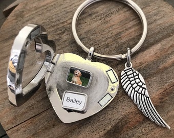 Custom Pet Memorial Locket Keychain: Fur Hair Keepsake with Portrait Charms