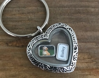 Loss of Pet Memorial Keychain: Fur Hair Keepsake Locket with Portrait Charms