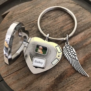 Porte-clés personnalisés pour chien perdu, perte d'un chien, porte-clé mèche en poils de fourrure, médaillon flottant pour chien en fourrure, bijoux commémoratifs, cadeau commémoratif pour animal de compagnie