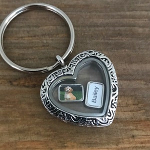 Custom Pet Memorial Keychain: Heart Locket, Fur Keepsake
