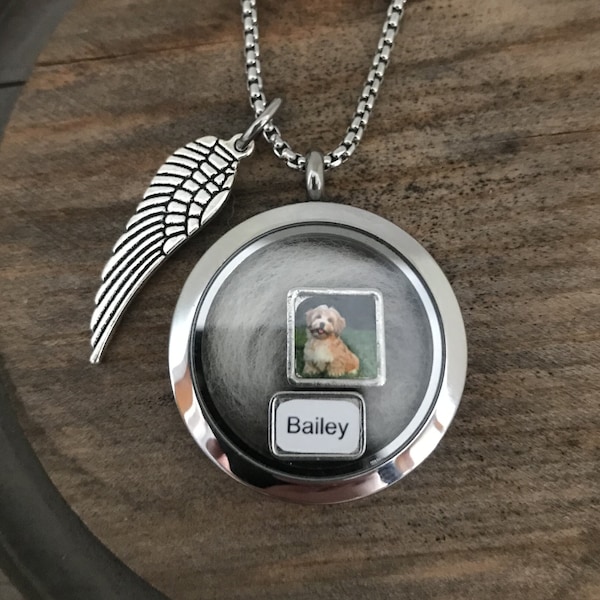 Silver Pet loss Necklace, Loss of pet, Lock of Fur Hair Necklace, Floating Locket Fur Pet Keepsake, Pet Photo Locket, Pet memorial gift