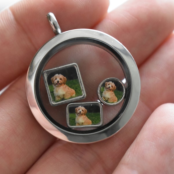 Pet Portrait Charm Custom Floating Locket Photo Charm, Custom Photo of your choice. Memory Charms, Living glass locket photo charms