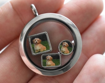 Personalized Pet Photo Floating Charms for Memory Lockets