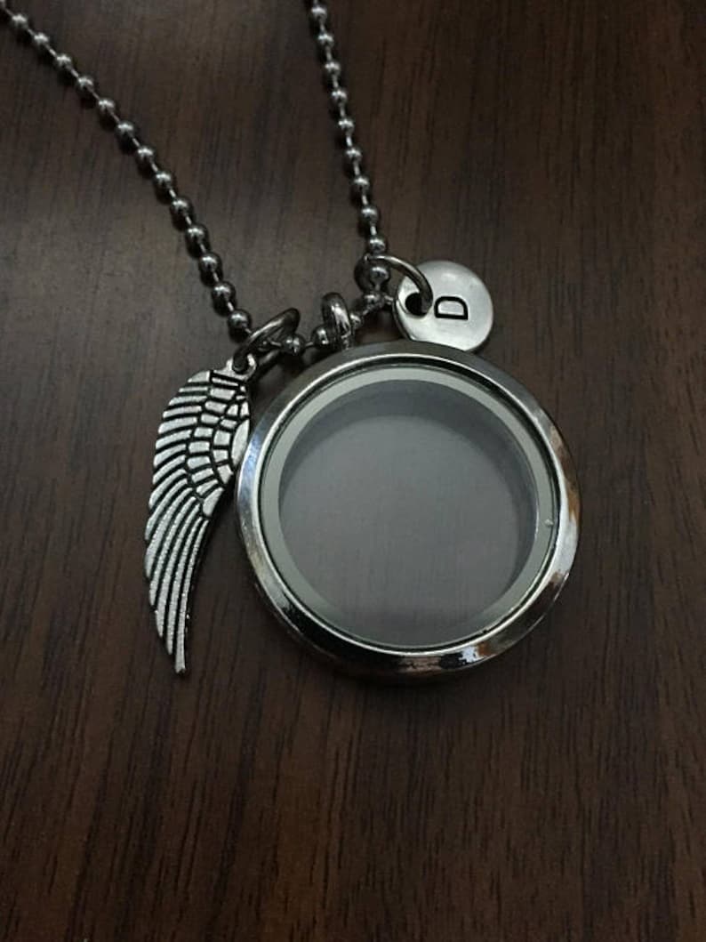 15 Best Images Pet Ashes Necklace Canada / Pet Cremation Jewelry Pendant Necklace Engraving "Paw ...