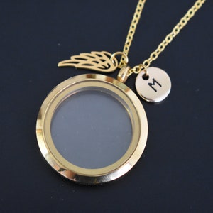 Gold Pet Memorial Locket Necklace: Fur or Ashes Keepsake