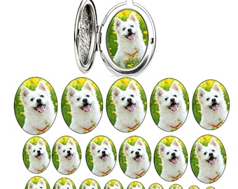 Oval Locket Photo Prints, Custom Pet Portrait, Multi different sizes (Digital Download)