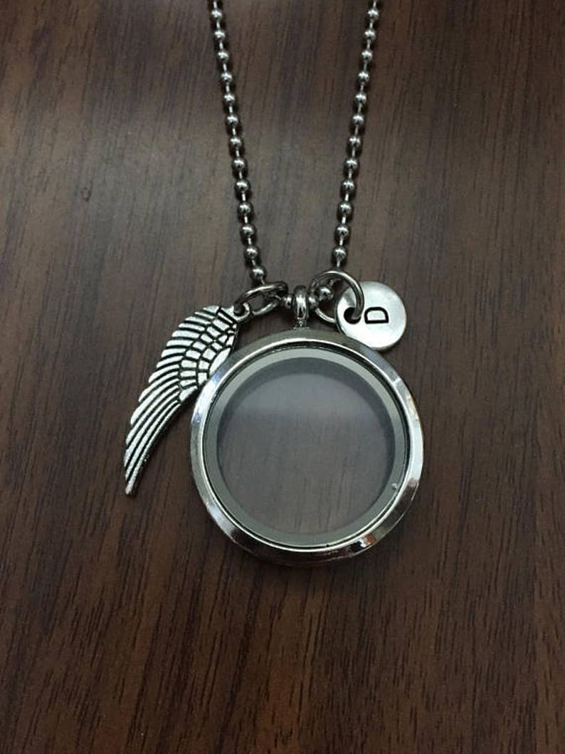 Pet Loss Necklace Living Glass Locket Fur Ashes Pet ...