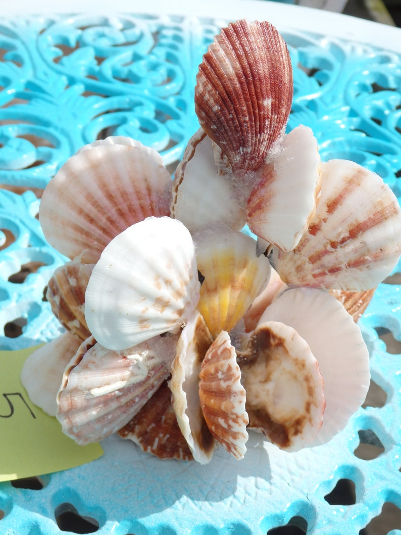 Sea SHELL ART 5 cluster sculpture with 1 hidden Pearl, 1 Blue Gem & snail shell, treasure, aquarium safe, natural seashell, beach theme image 4