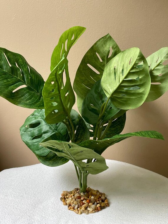 12"x12" Split Leaf PHILO BUSH Silk Philodendron Aquarium PLANT, Stone Base  - Etsy