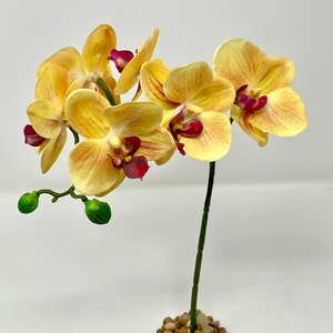 14" 1-stem Peach Orange PHALAENOPSIS ORCHID Soft Silk plant, Stone base