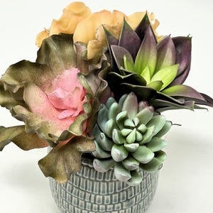 Echeveria succulente artificielle bouclée douce n° 15, jardin n° 15, composition mixte, jardinière crème sarcelle de 4 po.