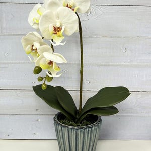 White Phalaenopsis Orchid Silk Flower 16", Blue Ceramic Pot, Handmade