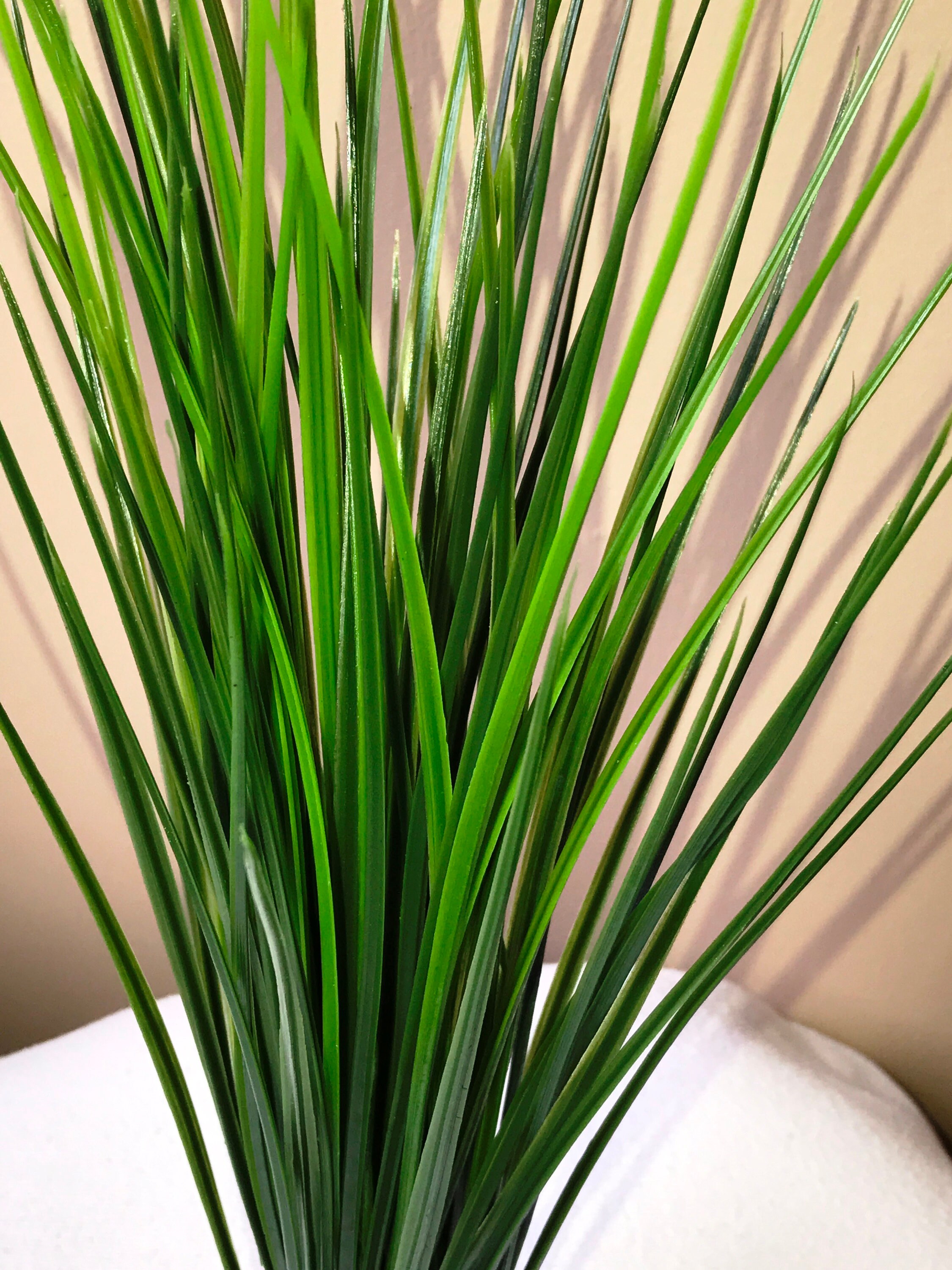 extra tall plastic aquarium plants