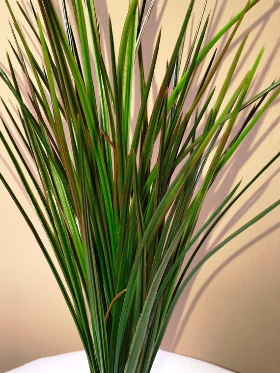 Extra tall plastic 2025 aquarium plants