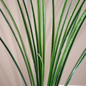 13” Single-stem WHITE/Green SPIKE Weed Grass Plastic Plant, Stone Base