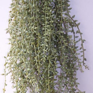 1) Arbusto artificial de hojas de semillas de botón de 36 pulgadas de grosor para colgar, de plástico, para decoración del hogar