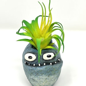 May include: A whimsical, hand-painted ceramic planter in the shape of a monster's head. The planter is a mottled blue-gray color with large white eyes and small white teeth. It holds a vibrant green and yellow air plant.