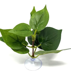 Green Pothos Artificial Aquarium Plant SUCTION CUP base