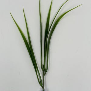 8&quot; Floating/Standing WILD GRASS plastic Plant w/ SUCTION Cup