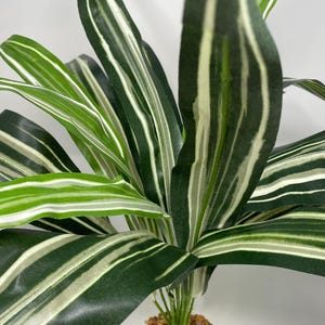 17x24&quot; XL STRIPED SWORD silk bush Centerpiece Plant, Stone Base