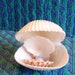 see more listings in the Sea Shell Decorations section