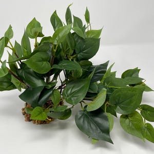 Realistyczna roślina akwariowa Pothos z jedwabistym zielonym pnączem, na kamiennej podstawie (10"x6")