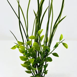 GEMENGDE combo 11" plastic WILLOW gras- en erwtenblad aquariumplant, stenen voet #842