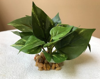 3" XS Green-White POTHOS Bush, soft silk Pothos Artificial Aquarium plant w- stone base, natural, Betta safe, Extra Small (2-stem)