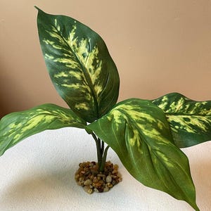 9-10&quot; 4-LEAF Silk DIEFFENBACHIA Variegated Plant, Stone Base