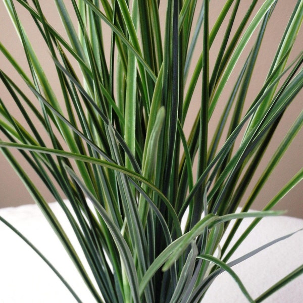 Large Artificial Aquarium Plants Etsy