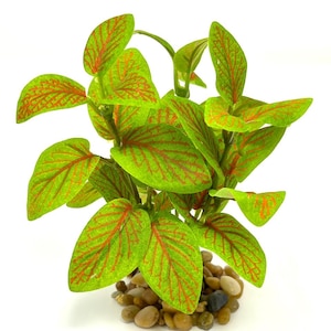 5&quot; SM Light Green & Red Fittonia NERVE Silk Aquarium plant, STONE base