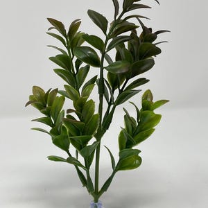 6&quot; Standing BROWN-Green Boxwood plastic Aquarium Plant,  SUCTION CUP base